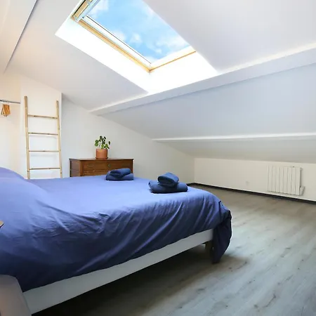 200m2 A 15 Min Du Centre De Toulouse Balma